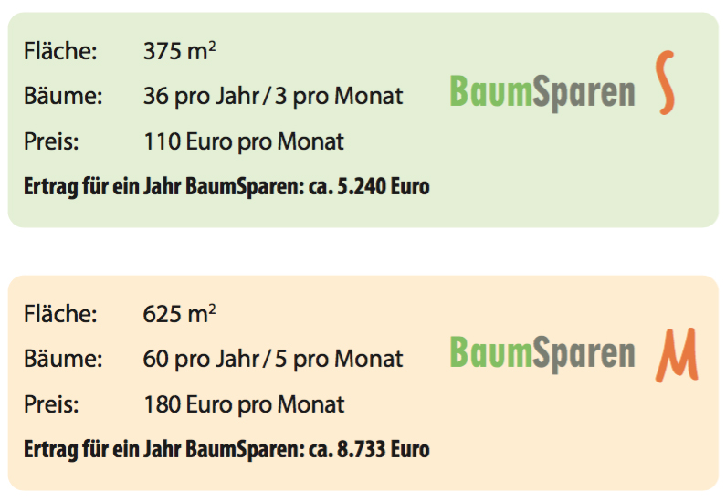 BaumSparen investieren in Holz und Wald